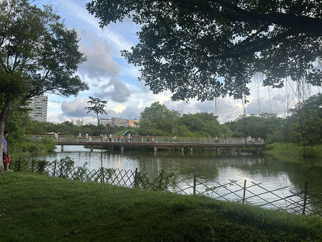 🌿 福田紅樹林生態公園｜城市裡的自然保護園區！
