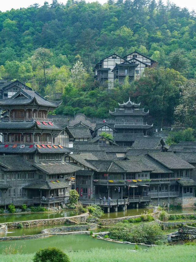 高鐵兩小時！朋友都以為我去了江南！巨美！！