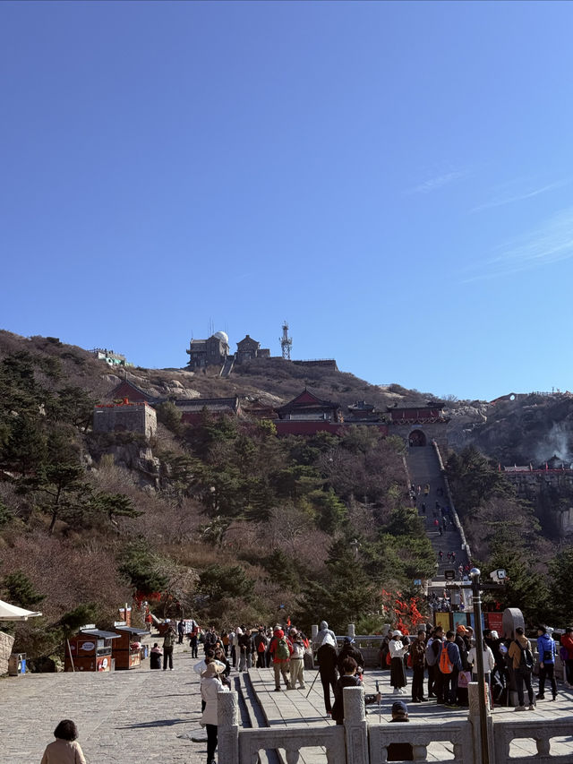 泰山