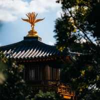 ๐์ํ์ด์ ํ ๋น๋๋ผ ํ ์ ์, ๊ฐ์์ ์๋ฒฝํ ์ ์ทจ ๐ฏ