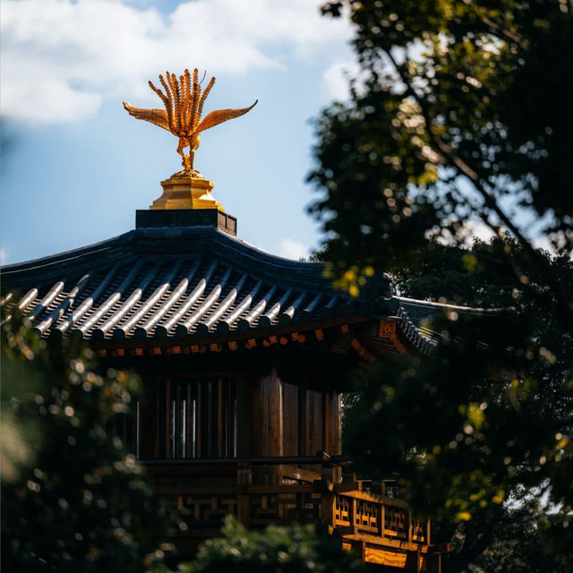 ๐์ํ์ด์ ํ ๋น๋๋ผ ํ ์ ์, ๊ฐ์์ ์๋ฒฝํ ์ ์ทจ ๐ฏ ๐์ํ์ด์ ํ ๋น๋๋ผ ํ ์ ์, ๊ฐ์์ ์๋ฒฝํ ์ ์ทจ ๐ฏ