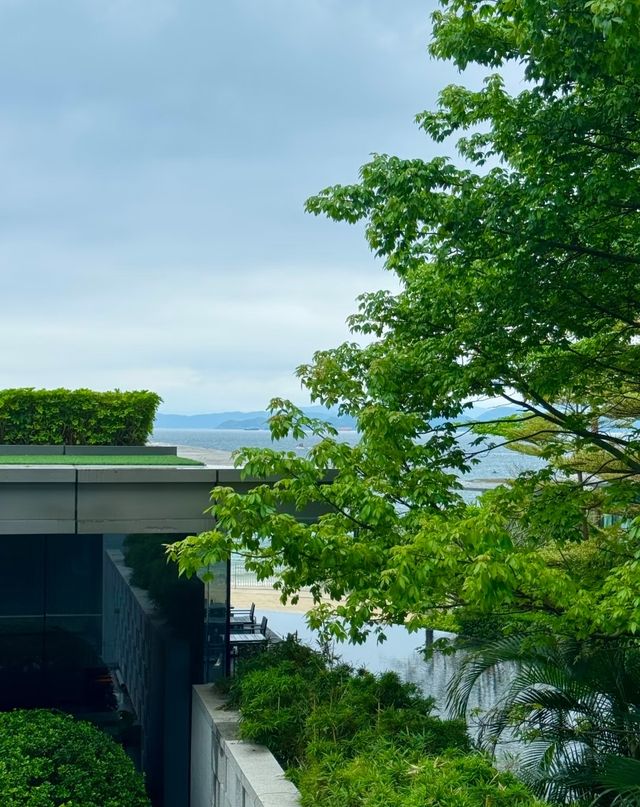 深圳柏悅|慶祝生日的一次簡短 staycation