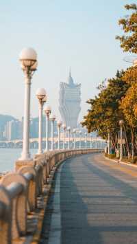 11月港澳遊，四天三晚打卡雙城！