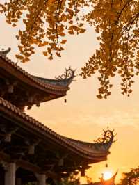 11月泉州：半城煙火半城仙世遺古城的蚵殼厝與開元寺銀杏慢時光