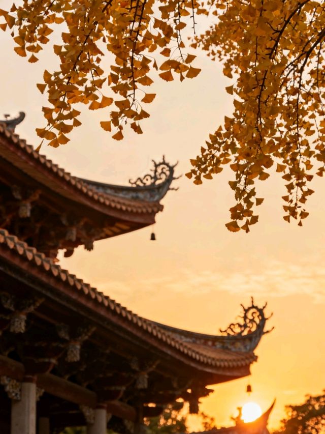 11月泉州：半城煙火半城仙世遺古城的蚵殼厝與開元寺銀杏慢時光