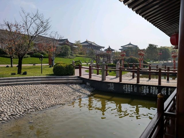 Tang Paradise: A Must-See Day & Night Experience in Xi'an