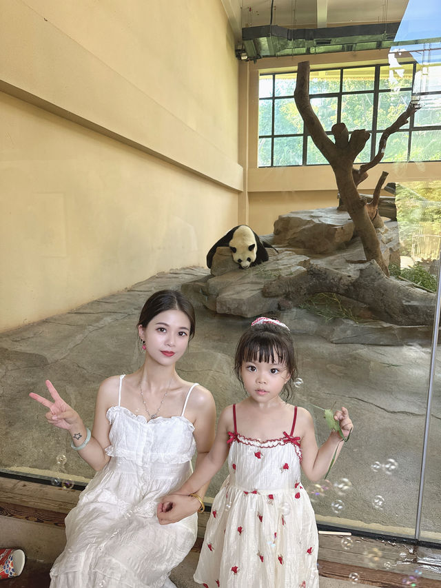 寧波一日遊!寧波野生動物園遛娃全職業攻略! 寧波一日遊!寧波野生動物園遛娃全職業攻略!