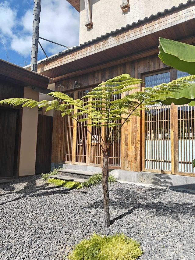 騰衝銀杏季躺平指南！三宅一界頂奢度假