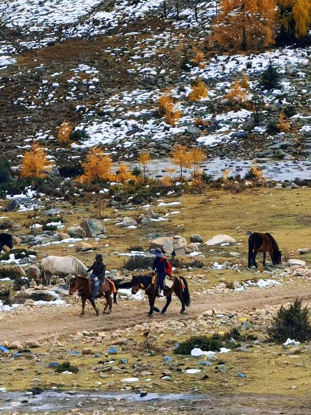 川西冬日天花板！木格措靚到令人詞窮