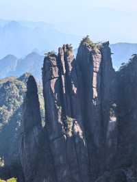 聽我的，不費腿看美景