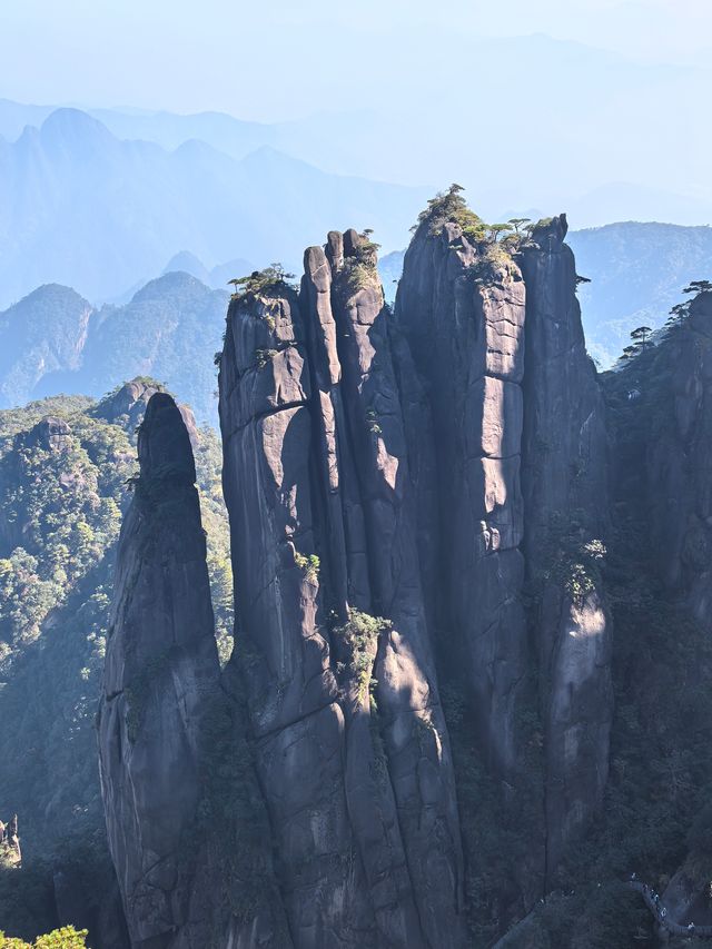 聽我的，不費腿看美景