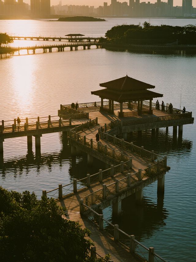 深圳親子賞秋!帶娃解鎖3處童話秘境 深圳親子賞秋!帶娃解鎖3處童話秘境