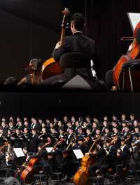 潮起歡樂頌，世界聽鹽官