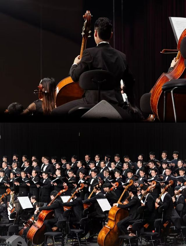 潮起歡樂頌，世界聽鹽官