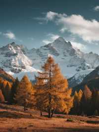 雲台山親子2-3日遊帶娃玩轉山水與人文盛宴