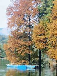 秋日泛舟雅女湖