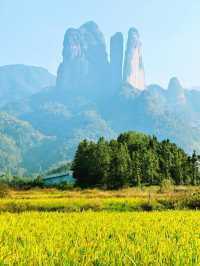 1. 衢州免費遊衝瘋了！江郎山秋日徒步，90℃垂直梯太刺激！