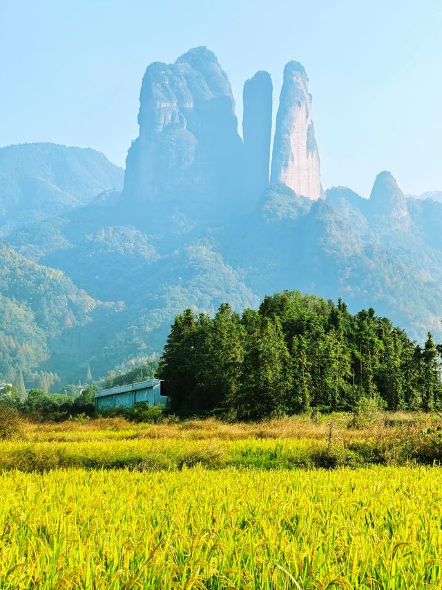 1. 衢州免費遊衝瘋了！江郎山秋日徒步，90℃垂直梯太刺激！