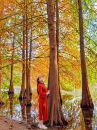 尊嘟紅了本週末就衝明孝陵燕雀湖