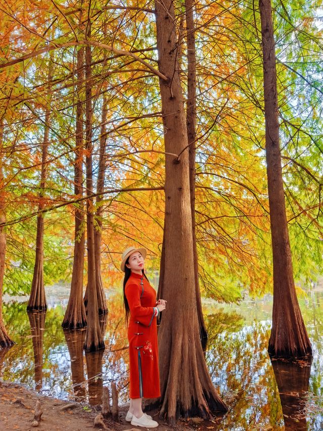 尊嘟紅了本週末就衝明孝陵燕雀湖