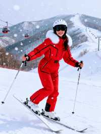 哈爾濱旅行避雷指南！血淚總結的保命建議！