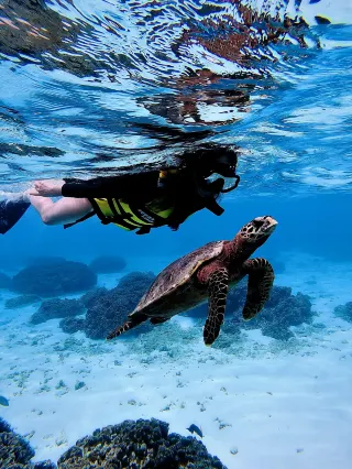열몇 개의 주민 섬을 다녀왔는데, 여기야말로 내 마음속 1위야