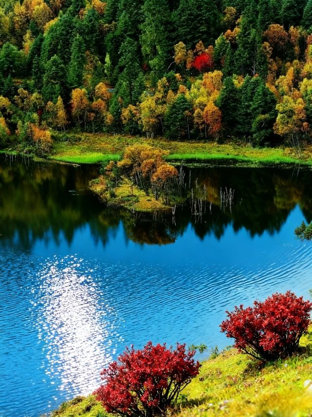 香格里拉攻略｜缺氧但不缺信仰，3天2夜玩轉人間仙境！