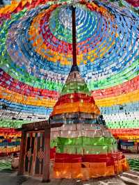 涅槃月光城，古道活密碼