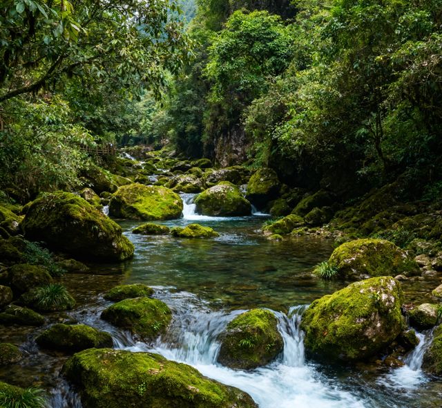 徒步金絲峽，遇見獼猴
