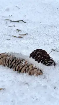 太原周邊｜把生活調成治癒模式