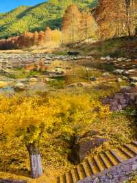 3天2晚餘姚親子遊天花板！保姆級攻略請查收~