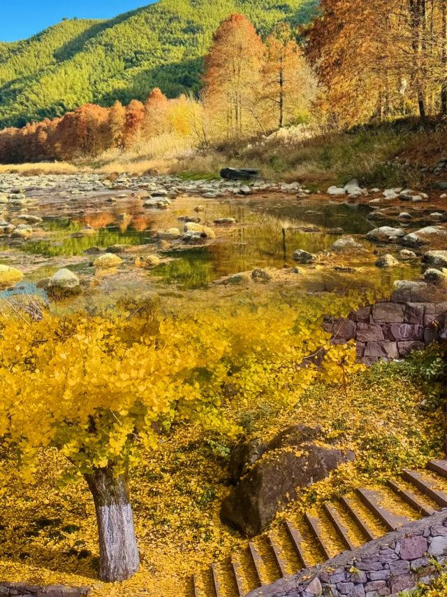 3天2晚餘姚親子遊天花板！保姆級攻略請查收~