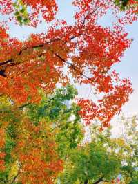 上海的秋日藝術巡禮