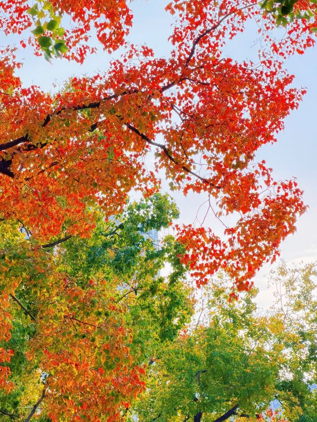 上海的秋日藝術巡禮