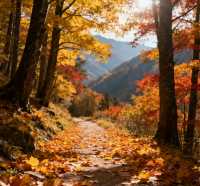 秋季徒步天花板｜黃陂屁屁溝，小眾秘境美到封神！