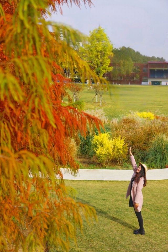 在武漢！99%人都不知道的紅杉公園，免費