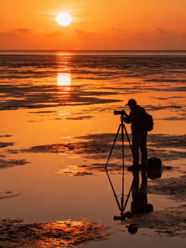日出封神！南匯東灘濕地無痕遊玩+福利攻略