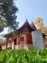 我宣佈,這是我河南最中意的小木頭房子