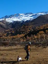 四姑娘山|此刻,追到了川西的絕美秋景!