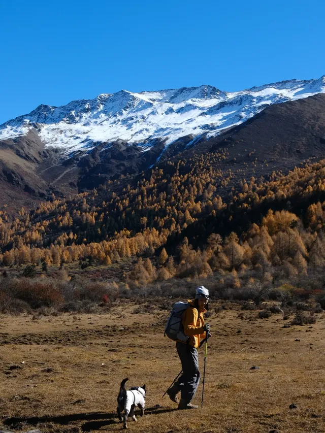 四姑娘山|此刻,追到了川西的絕美秋景! 四姑娘山|此刻,追到了川西的絕美秋景!