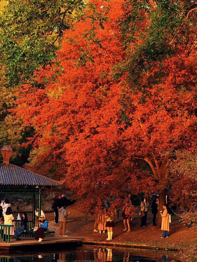 魔都冬日獨家48h解鎖小眾文藝上海|人均百元私藏路線 魔都冬日獨家48h解鎖小眾文藝上海|人均百元私藏路線