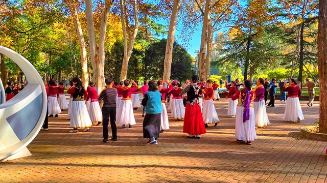 斑斕調色盤,律動生活詩--武漢解放公園秋色 斑斕調色盤,律動生活詩--武漢解放公園秋色