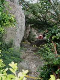 西島慢旅:讓時光隨浪輕淌
在西島,時間是奔湧的浪,人是灘上的沙。潮漲時捲走一身焦慮,潮退時留下滿