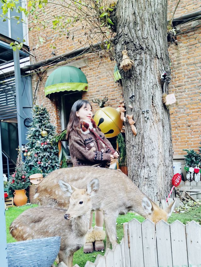 瀋陽冬遊圖鑑：漫季雲尚酒店帶你玩轉盛京暖冬