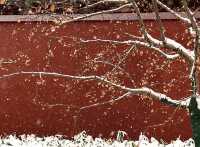 雪落京城，赴一場古今交織的冬日盛宴