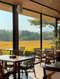 稻田民宿私湯指南