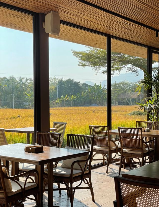 稻田民宿私湯指南 稻田民宿私湯指南