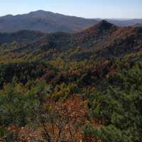 東北小瑞士！伊春秋色絕絕子