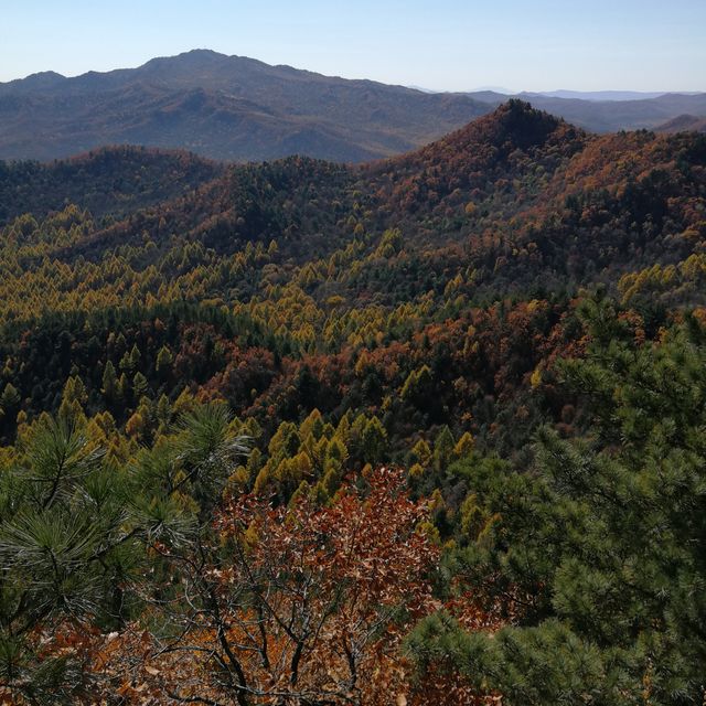 東北小瑞士！伊春秋色絕絕子