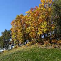 東北小瑞士！伊春秋色絕絕子